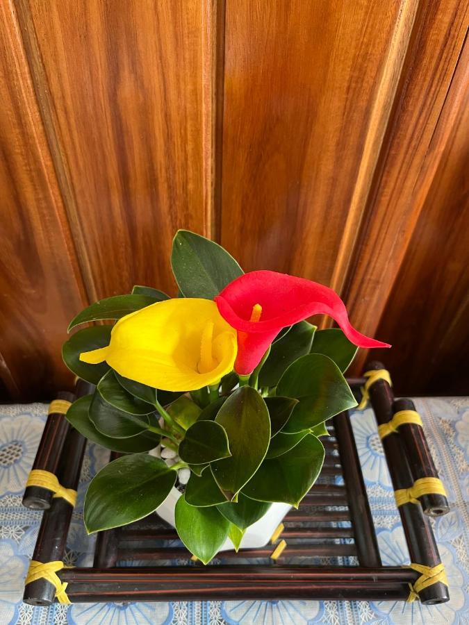 Love Homestay & Spa Quy Nhon Eksteriør bilde